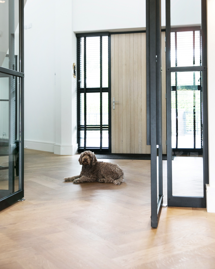 visgraatvloer - hond - stalen deuren