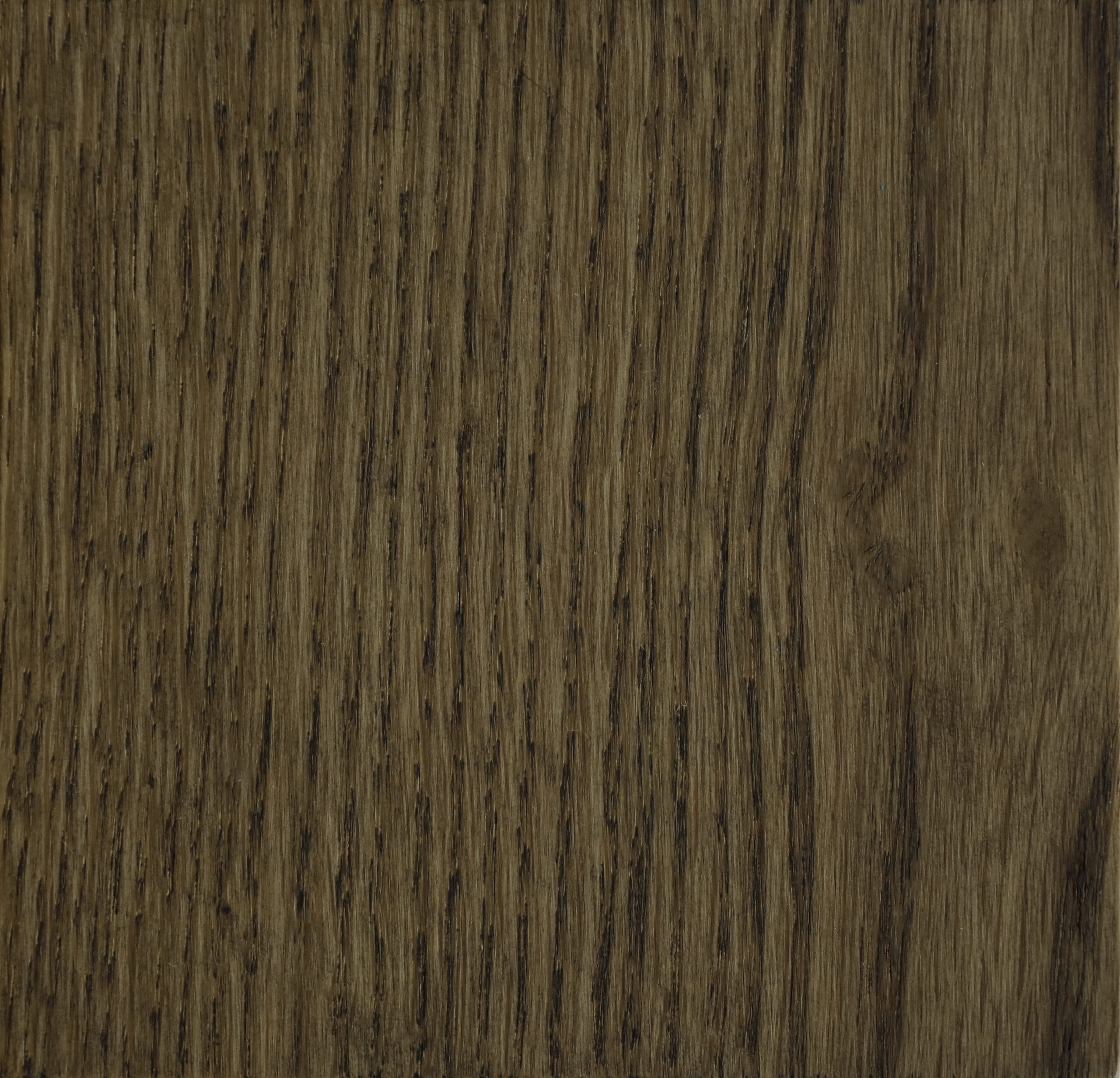 kleurstaal bear de houtfabriek houten vloeren