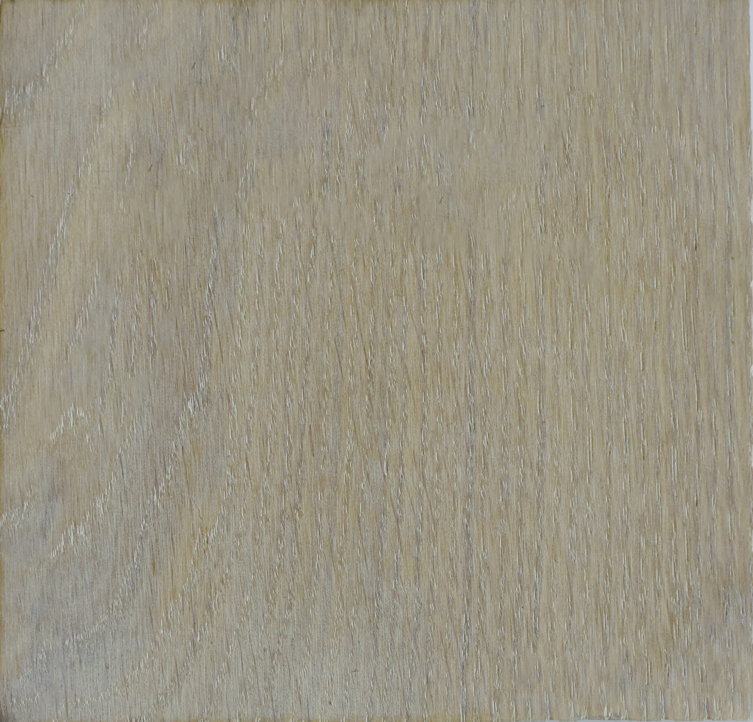 kleur staal houten vloeren de houtfabriek polar bear sample